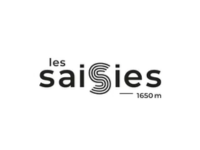 Logo Les saisies