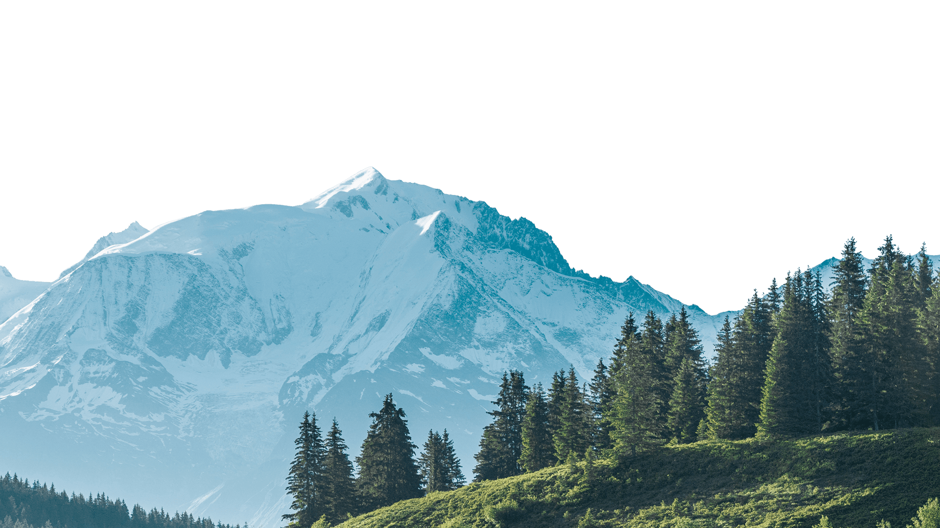 Mont Blanc et sapins