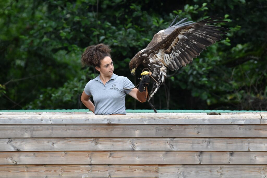 activités les aigles du léman megève domaine skiable